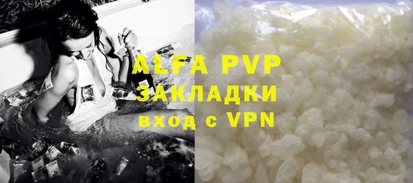 индика Белокуриха