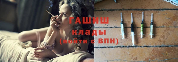 индика Белокуриха