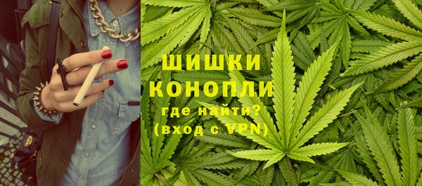 индика Белокуриха