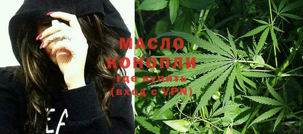 индика Белокуриха