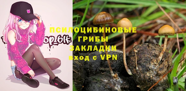 индика Белокуриха