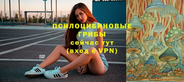 мдпв Беломорск