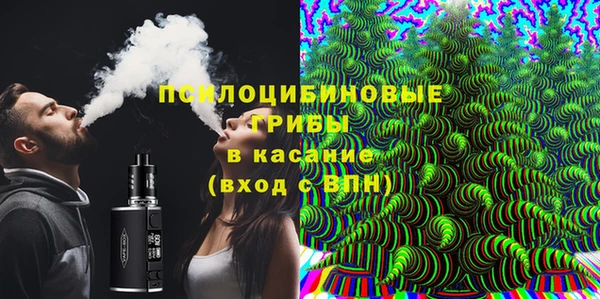 индика Белокуриха