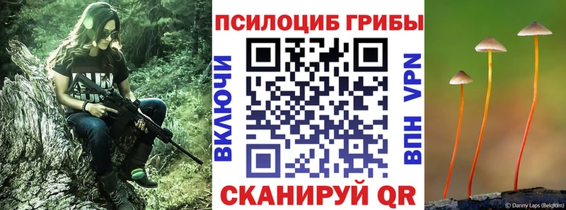 Галлюциногенные грибы Magic Shrooms  Шарья 